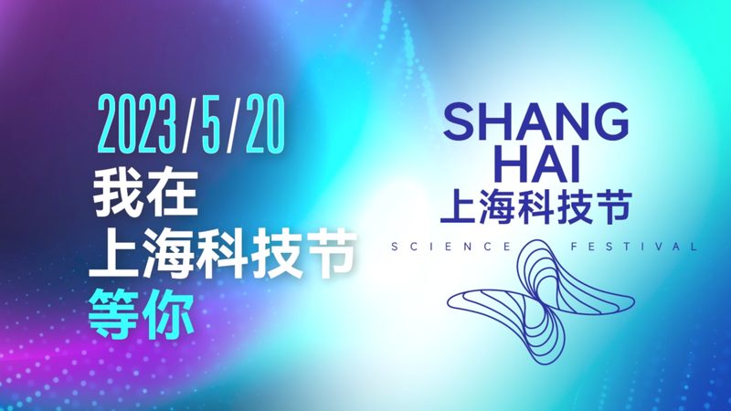 跨域配置：揭秘其对性能影响的深层逻辑