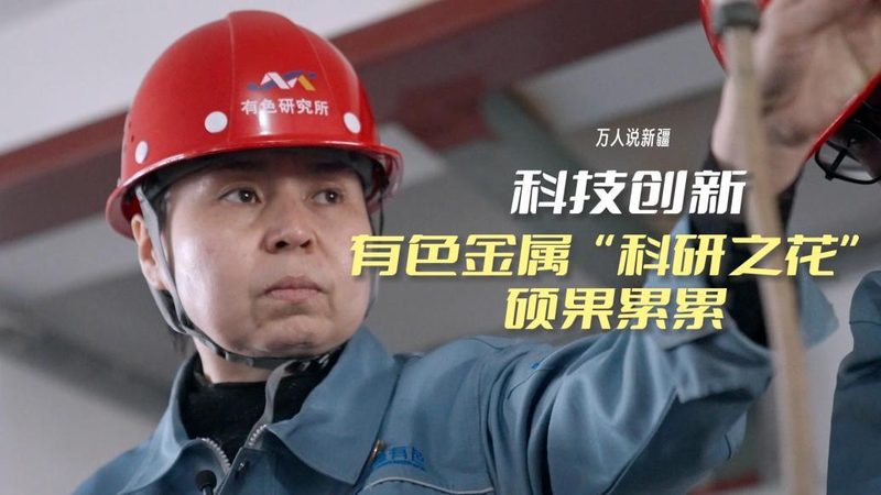人工智能应用工具采购，如何避免踩坑？**